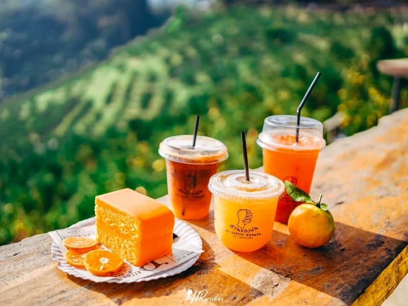 Orange Garden My Garden 9