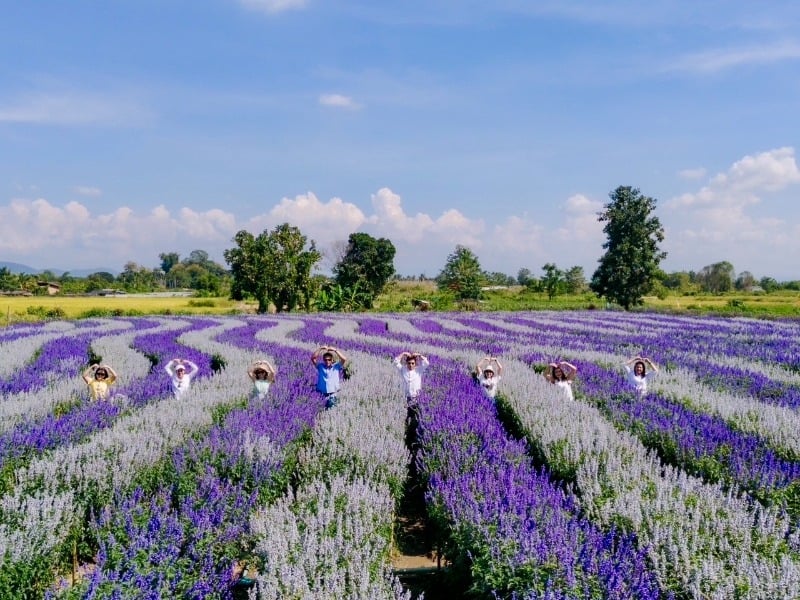 I Love Flower Farm 19