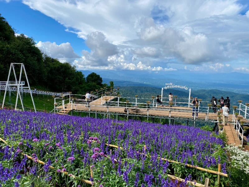 Mon Cham Chiang Mai 1 家庭出遊包車系列蒙占山