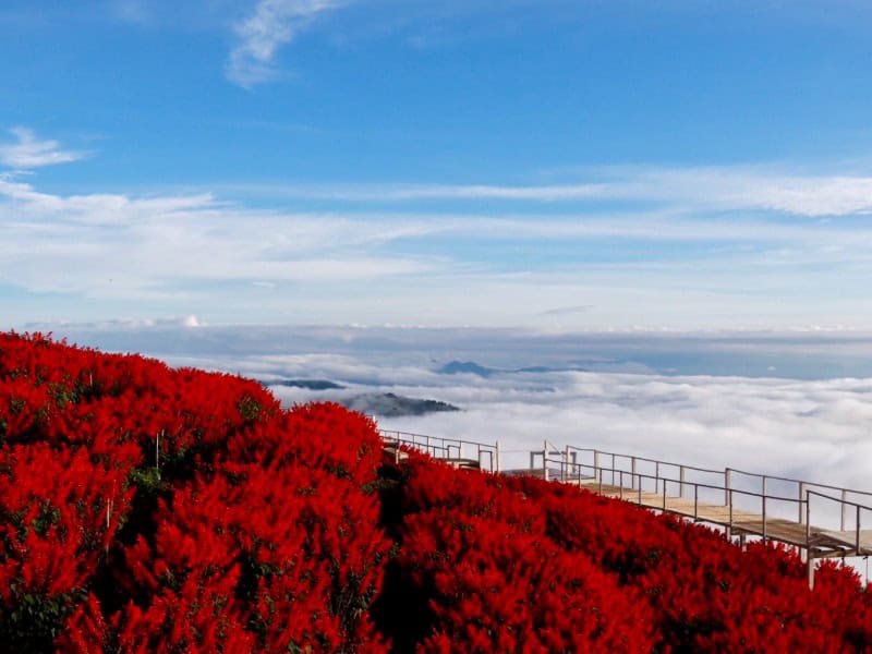 蒙占山包車 2800銖起
