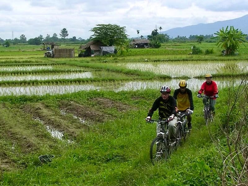 清邁鄉郊親子單車遊