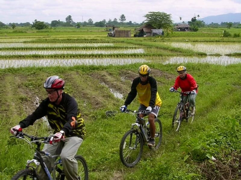 清邁鄉郊稻田單車之旅 1600銖